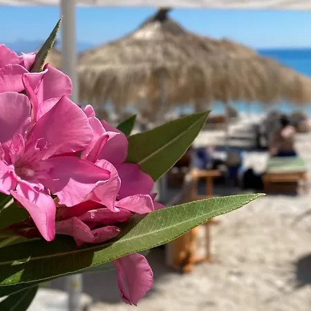 Emily Boutique Ξενοδοχείο με διαμερίσματα Borsh