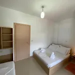 Emily Boutique 3*