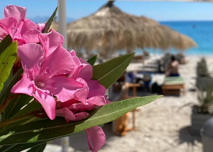 Emily Boutique 公寓式酒店 博尔什